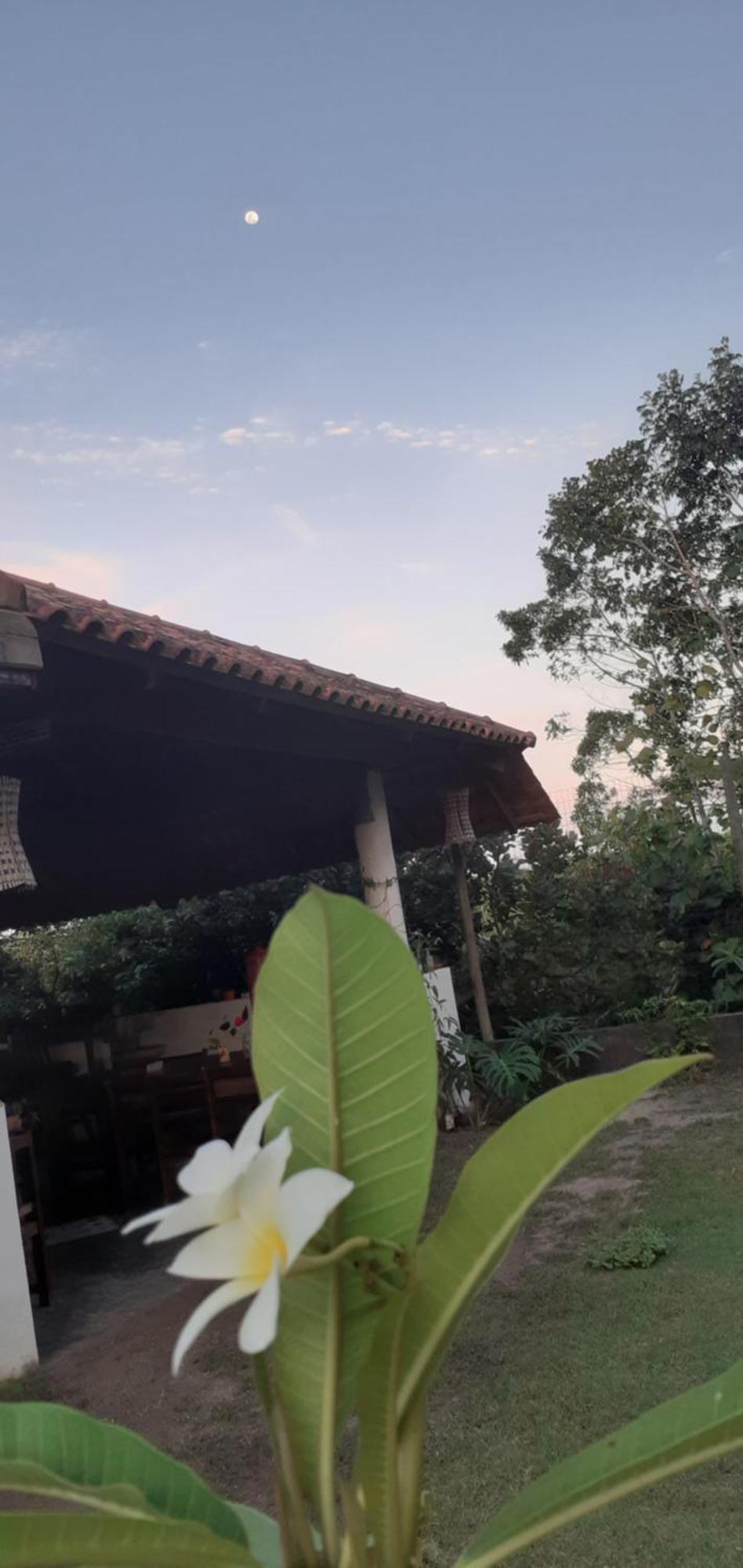 Pousada Reis Magos Nova Caraíva 外观 照片
